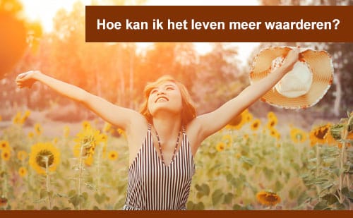 interplein-cursussen-Hoe-kan-ik-het-leven-meer-waarderen